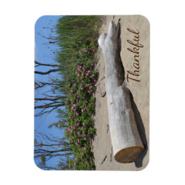 Gratise Seashore Magnet