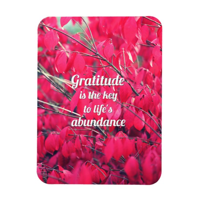 Gratistik Magnet (Vertikal)