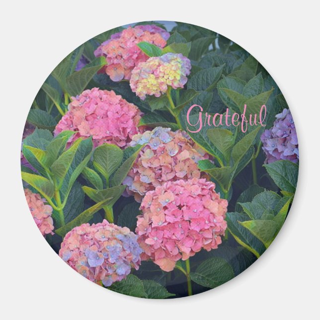 Gratitude Hydrangea Magnet (Framsidan)