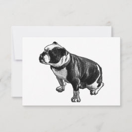 Gratitude Without Noise Tack Kort