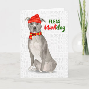 Grått American Stafford dshire Pitbull Hund Funny Helgkort