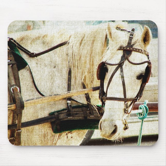 Grått Amish Buggy Horse Musmatta (Framsidan)