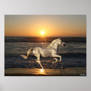 Grått Andalusiker som trafikerar stranden efter ha Poster