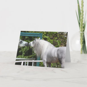 Grått Andalusisk Stallion Tittar i Spegel Kort