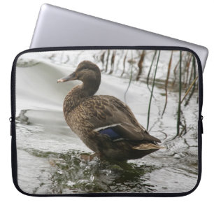 Grått anka på mörken sjö laptop fodral