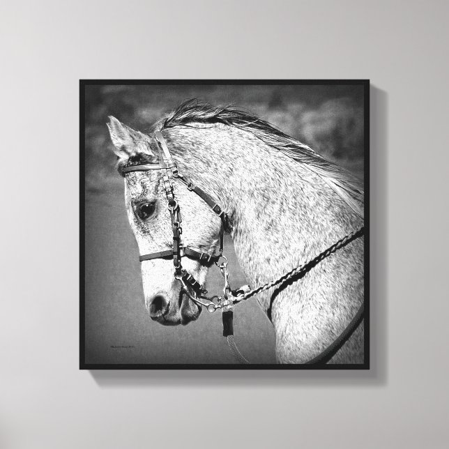 Grått Arabian Horse Canvastryck (Framsida)