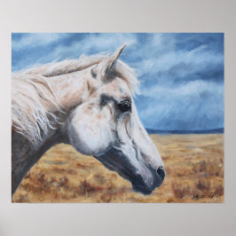 Grått Arabian Horse Fine Art Skriv ut Poster
