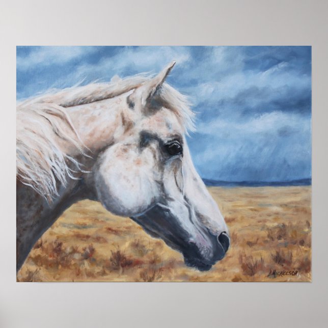 Grått Arabian Horse Fine Art Skriv ut Poster (Framsidan)