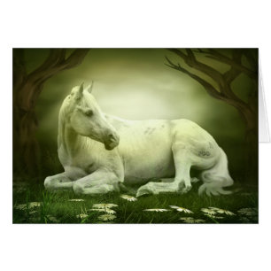 Grått Arabian Horse OBS Kort