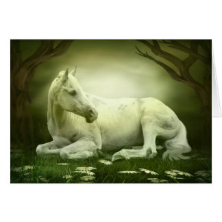 Grått Arabian Horse OBS Kort