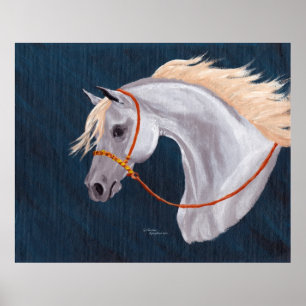 Grått Arabian Horse Porträtt Poster