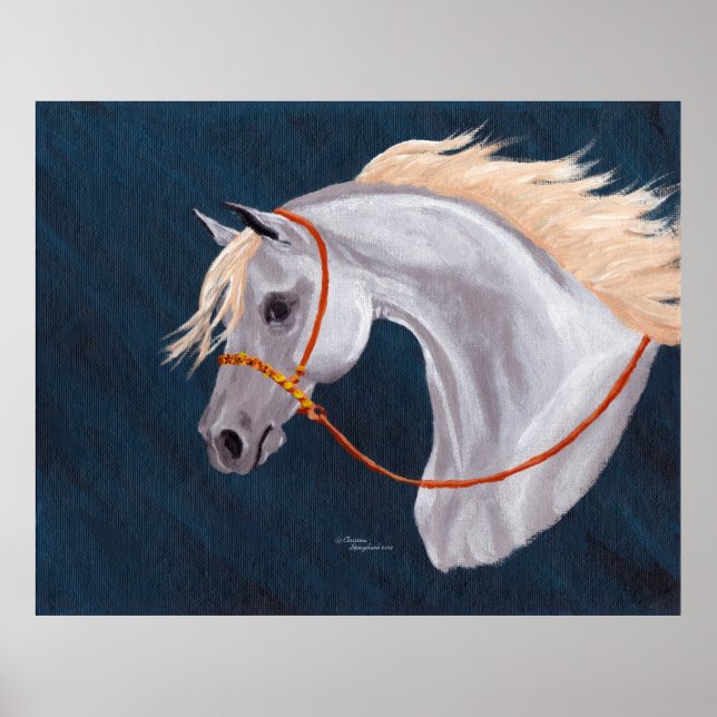 Grått Arabian Horse Porträtt Poster (Framsidan)