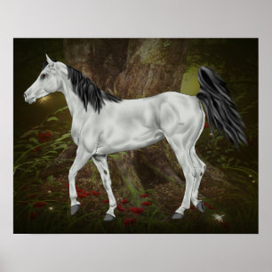 Grått Arabian Horse Poster