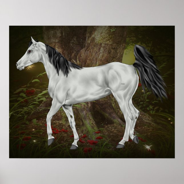Grått Arabian Horse Poster (Framsidan)
