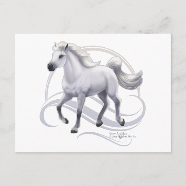 Grått Arabian Horse Vykort (Framsida)