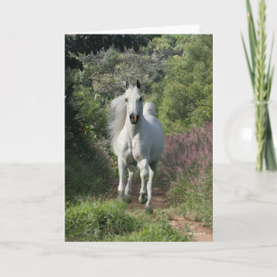 Grått Arabisk på Väg med blommor Kort