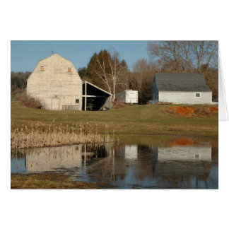 Grått Barn - Serenitetsreflektioner Hälsningskort