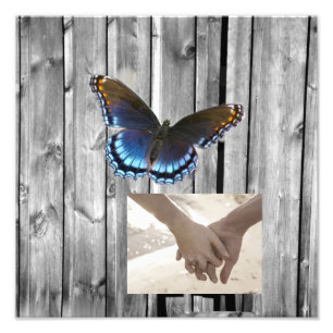 Grått Barn Wood BLue Butterfly Bröllop Fototryck