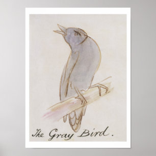 Grått Bird från "16 Teckning av Tecknad Bir Poster