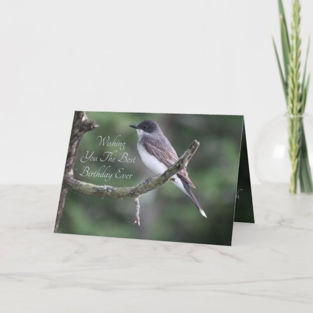 Grått Bird Photograph Kort (Framsida)