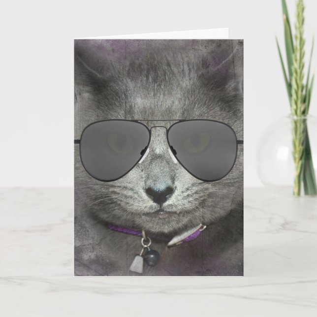 Grått Birthday Cat with Aviator Sunglasses Kort (Framsida)