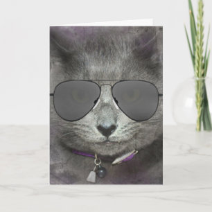 Grått Birthday Cat with Aviator Sunglasses Kort