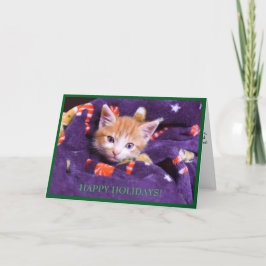 Grått Blanket Cat Orange Kitten Helgdag Card Helgkort
