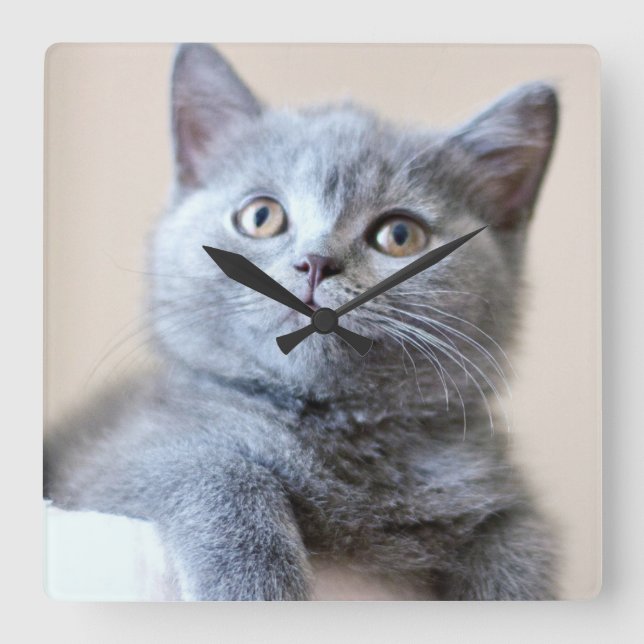 Grått British Shorthair Cat Fyrkantig Klocka (Framsida)