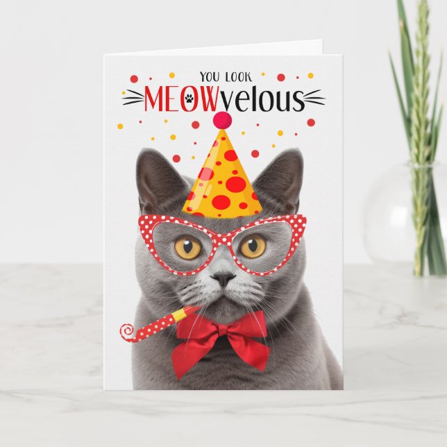 Grått British Shorthair Cat MEOWvelous Birthday Kort (Framsida)