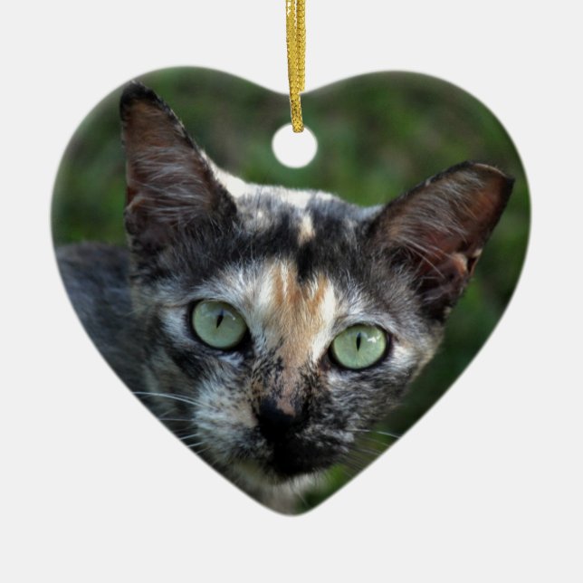 Grått Brown White Cat med Grönt Öga Julgransprydnad Keramik (Framsidan)