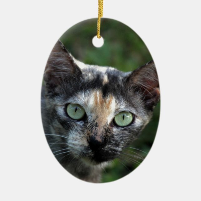 Grått Brown White Cat med Grönt Öga Julgransprydnad Keramik (Framsidan)