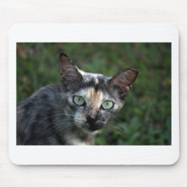 Grått Brown White Cat med Grönt Öga Musmatta