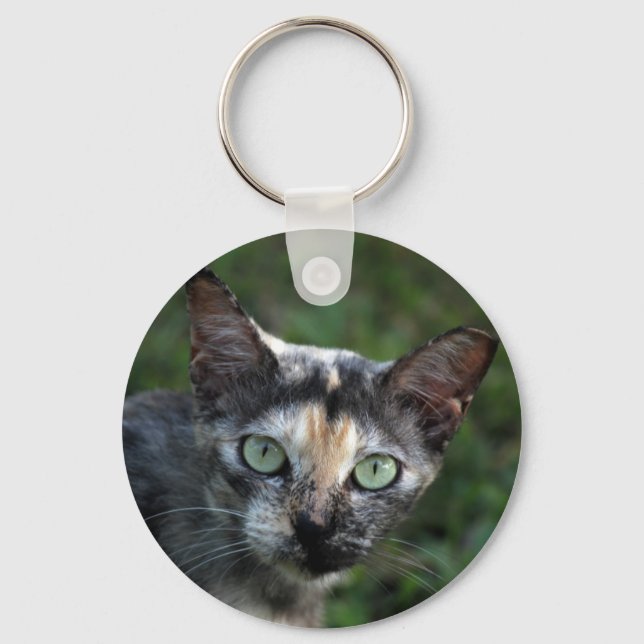 Grått Brown White Cat med Grönt Öga Nyckelring (Framsida)