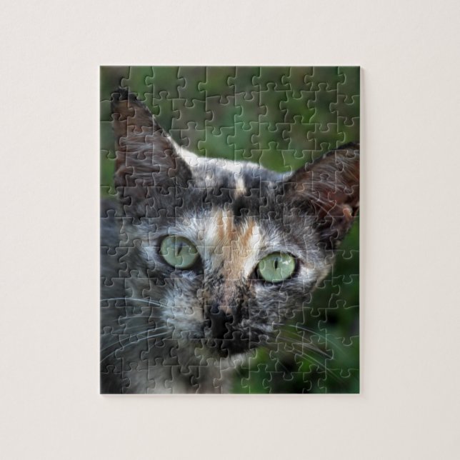 Grått Brown White Cat med Grönt Öga Pussel (Vertikal)