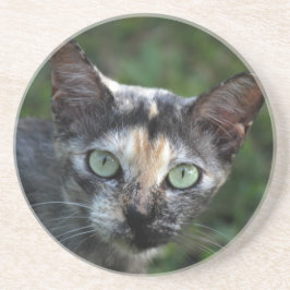 Grått Brown White Cat med Grönt Öga Underlägg Sandsten