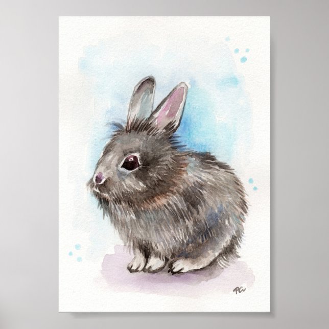 Grått Bunny Poster (Framsidan)