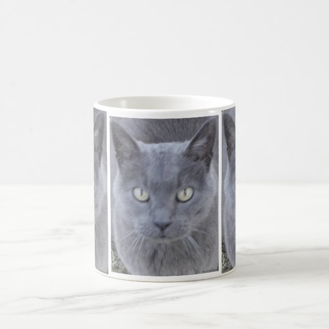 Grått Cat Ansikte Close-up Kaffemugg (Center)