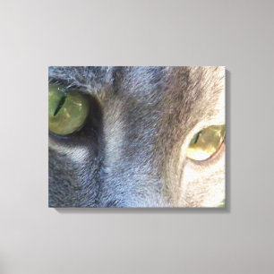 Grått cat ansikte kanvastryck