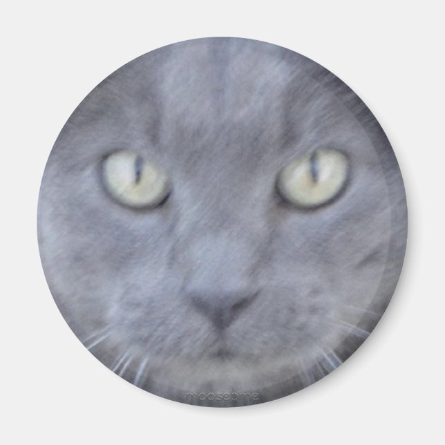 Grått cat ansikte magnet (Framsidan)