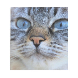 Grått Cat Anteckningsblock