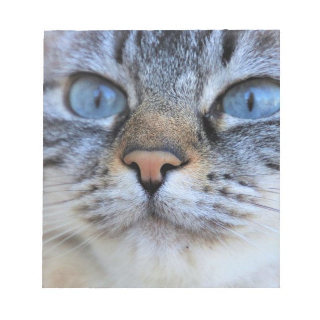 Grått Cat Anteckningsblock (Framsida)