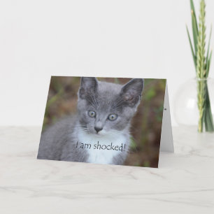 Grått Cat Belet Birthday Kort