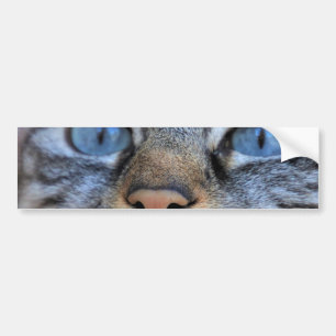 Grått Cat Bildekal