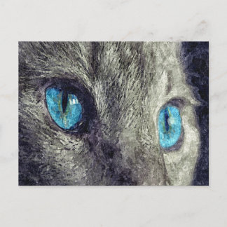 Grått Cat Blue Öga Vykort
