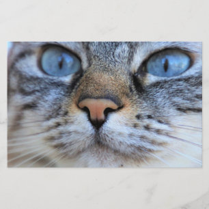 Grått Cat Brevpapper