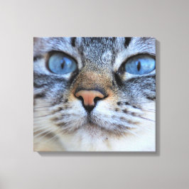 Grått Cat Canvastryck