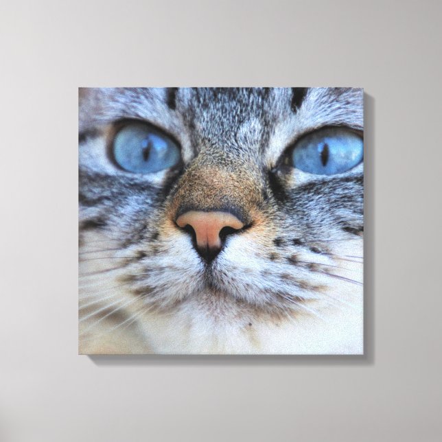 Grått Cat Canvastryck (Framsida)