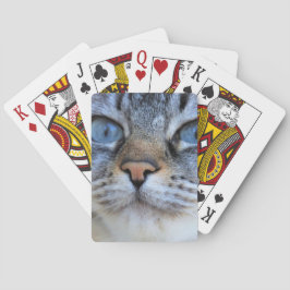 Grått Cat Casinokort