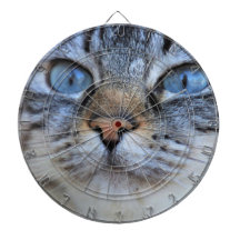 Grått Cat