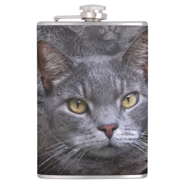 Grått Cat Fickplunta (Framsidan)